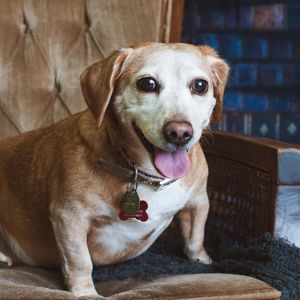 Meet your Posher, Chelsea